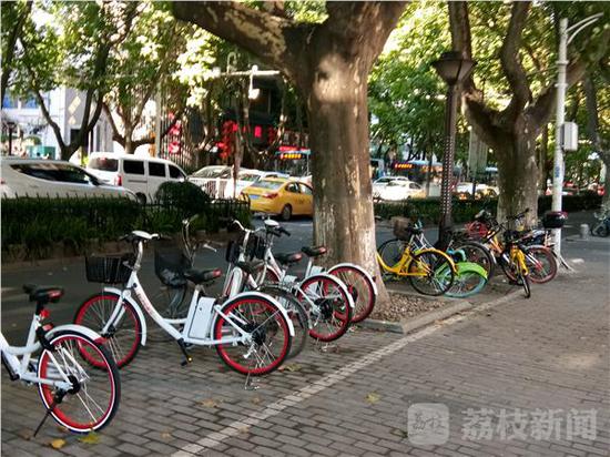 南京街头的共享电单车。荔枝新闻图
