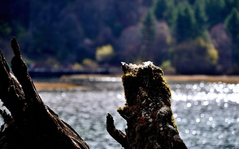 四川九寨沟风景壁纸7