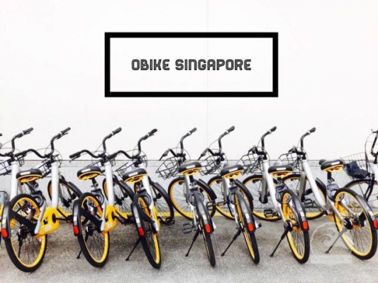 oBike170817a