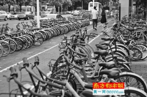 8月28日。深圳福田莲花北地铁站外，停满了各家共享单车。 南都记者 赵炎雄 摄