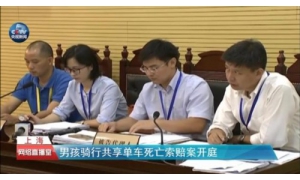 男孩骑小黄车身亡案开庭 法院表示该案将定期宣