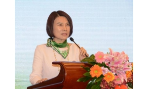 董明珠：落地具体产业 带动格力电器向新能源行