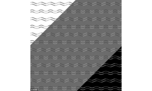 魔性十足!日本科学家发现了所谓全新视错觉图