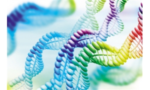 十大科学突破之一的基因“剪刀”在未来可能撬