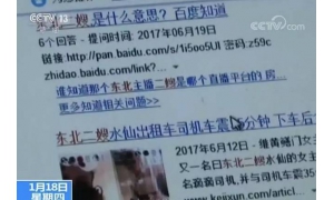 东北二嫂涉黄被抓 不堪内容被转发影响十分恶劣