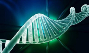 基因表达变化将可用于估计死者的死亡时间