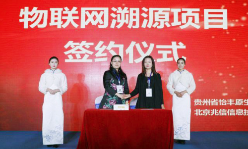 签约1.jpg