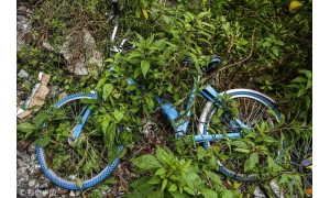 小鸣单车破产清算 关于共享单车的预言哪些成真