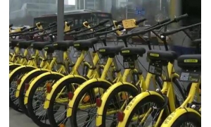 ofo上线广告业务 不是割韭菜而是在绝地求生