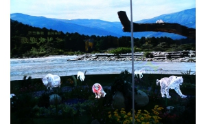 置身雪山草地 藏博会工信厅裸眼3D厅刷爆西藏朋