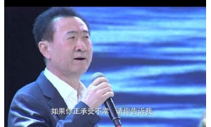 王健林负债超过4200亿元，李嘉诚马云刘强东表示