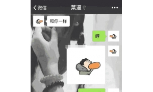 王思聪吃热狗照片，被网友改成情侣头像！网友