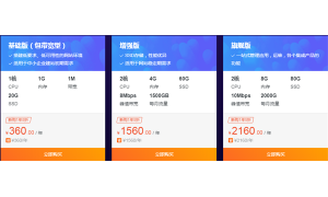 阿里云双11_高性能企业级云服务器ECS限时疯购中