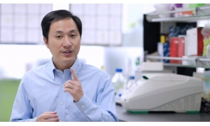 基因编辑婴儿带来的是惊吓不是惊喜