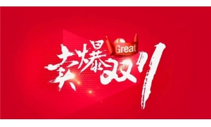 又一小家电巨头崛起：双11卖出98.6万台电器，已