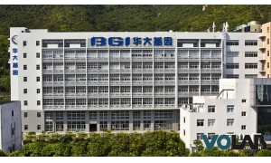 华大基因：首席运营官张凌辞职