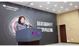 格力＂造梦者＂董明珠顺利连任 行走在职业生涯