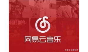 传网易云音乐被下架 网友爆料称或因版权违规问
