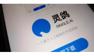 快手王欣，携“灵鸽”平台王者归来，或成为互