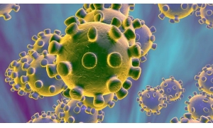 病毒无情,铁路有情