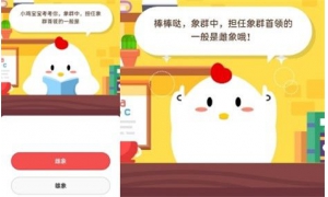 蚂蚁庄园今天4月3日庄园小课堂答案 象群中担任