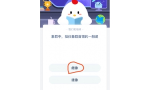 象群中担任象群首领的一般是 支付宝4月3日庄园