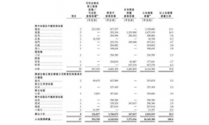 实地地产集团联交所递交IPO申请 招股书显示重庆