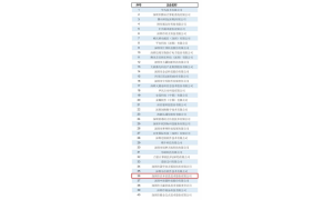 深圳市软件业务收入百强重磅亮相!法本信息再