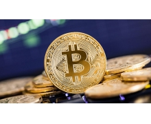 机构投资者在加密上的投资从去年的22%增加到了