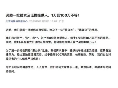 比亚迪重拳出击“黑公关”，9人获奖最高达百万