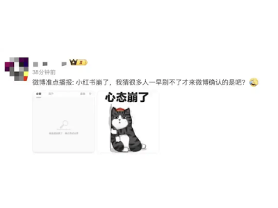 小红书再陷崩溃风波，官方回应引网友热议