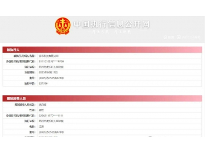 国产CPU企业合芯科技陷危机：业务停摆，高管失