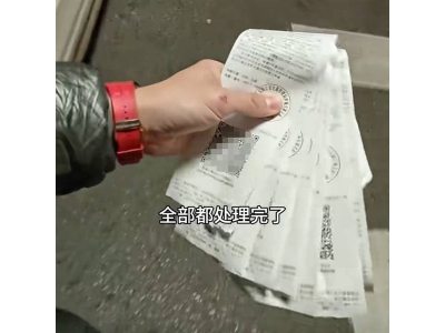 特斯拉FSD国内首测频违章，陈震提醒：驾驶员仍