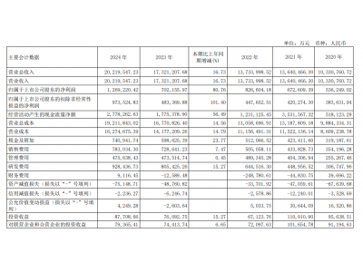 长城汽车2024年财报亮点：净利润大增八成，海外