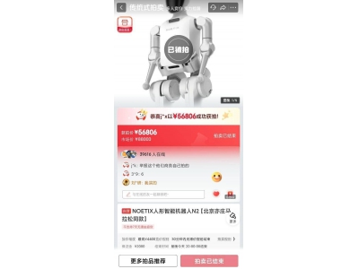 人形机器人松延动力N2马拉松后拍卖，成交价超