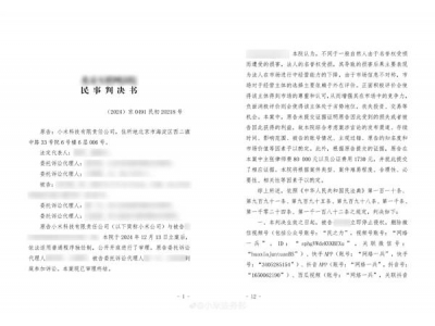 小米胜诉自媒体“民之力”，名誉权案获赔6万，