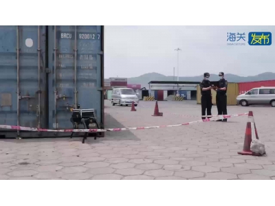 广州海关“机器狗”上岗，智能化监管再升级！