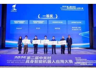 4人小队“智”破难题！Deepsick团队登顶2025中关村