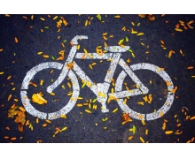 ofo 子公司进行注销备案