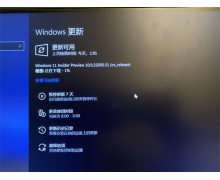 不符合升级条件的 Insider 设备仍可获得 Windows 1