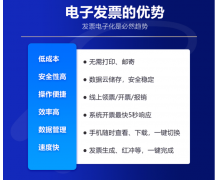 票点点：引领企业财税数字化转型，持续赋能中