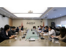 FF 回应中国总部落户湖北传闻 ：仅是意向地 首款