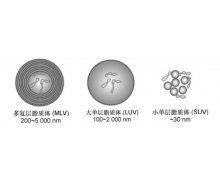 【瑞芯智造】高精度超灵敏生物检测平台_生物医