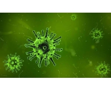 美药企冷冻瓶疑似存有天花病毒 控中心证实事件