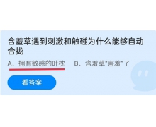 知羞草遇到刺激和触碰为什么能够自动合拢