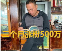 涨粉600万的张同学回应走红 牛爱芳的小春花翻车