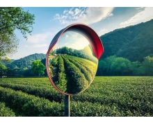 贵州茶叶没有中国驰名商标 结束了的茶是蚂蚁新