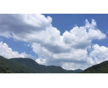 孤帆远影碧空尽描写的是什么楼 蚂蚁庄园孤帆远