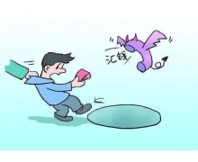 全国反电信网络诈骗专用号码是96110还是12110蚂蚁