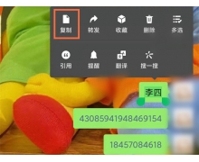 医鹿抢九价如何快速填信息？医鹿抢九价快速填